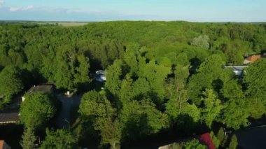 Güzel Peyzaj Ormanı Gieraltowiec Hava Manzarası Polonya. Yüksek kalite 4k görüntü