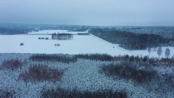 Beautiful Winter Panorama Forest Snow Skorkowice Aerial View Poland High — Stock Video