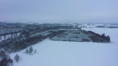 Güzel Kış Ormanı manzarası Skorkowice Hava Manzarası Polonya. Yüksek kalite 4k görüntü