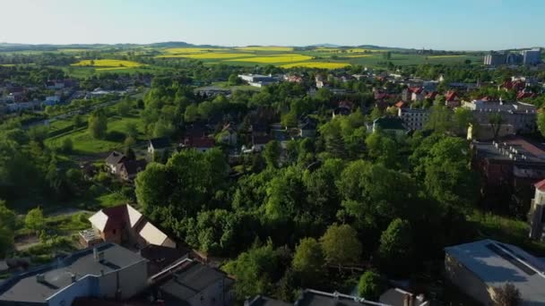 Prachtig Landschap Zabkowice Slaskie Aerial View Polen Hoge Kwaliteit Beeldmateriaal — Stockvideo