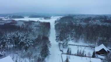 Güzel Kış Ormanı Kar Ormanı Skorkowice Hava Manzarası Polonya. Yüksek kalite 4k görüntü