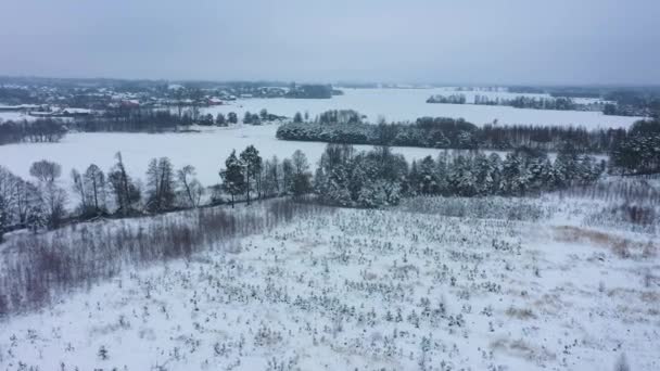 Vacker Vinter Panorama Skorkowice Antenn Utsikt Över Polen Högkvalitativ Film — Stockvideo