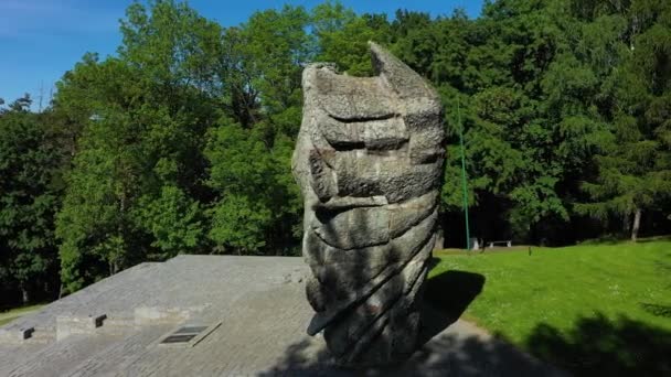 Belle Statue Aigle Ziebice Vue Aérienne Pologne Images Haute Qualité — Video