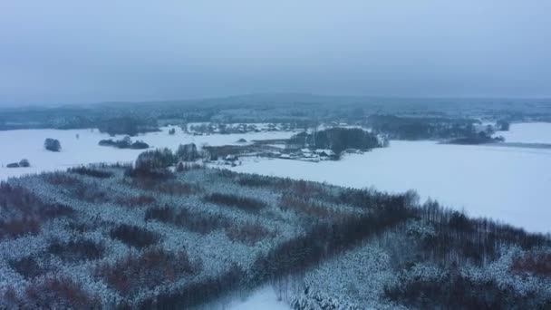 Hermoso Invierno Panorama Bosque Nieve Skorkowice Vista Aérea Polonia Imágenes — Vídeos de Stock