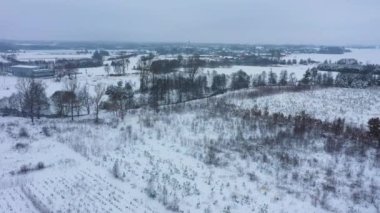 Güzel Kış Panorama Skorkowice Hava Görüntüsü Polonya. Yüksek kalite 4k görüntü