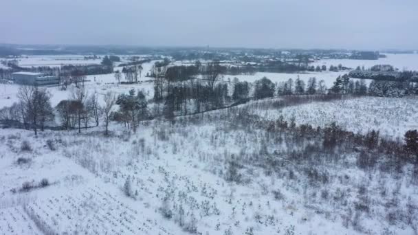 美しい冬のパノラマ スコルコウィス空中ビューポーランド 高品質の4K映像 — ストック動画