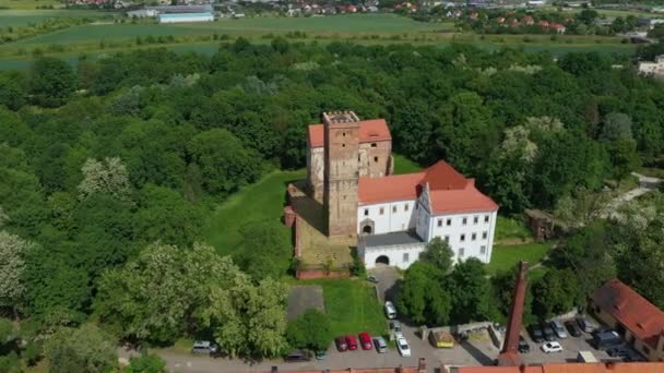 Castle Park Prochowice Aerial View Polen Hoge Kwaliteit Beeldmateriaal — Stockvideo
