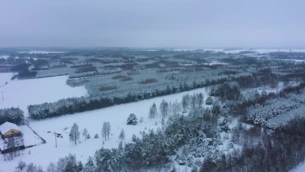 Piękny Zimowy Las Krajobraz Skorkowice Widok Lotu Ptaka Polska Wysokiej — Wideo stockowe