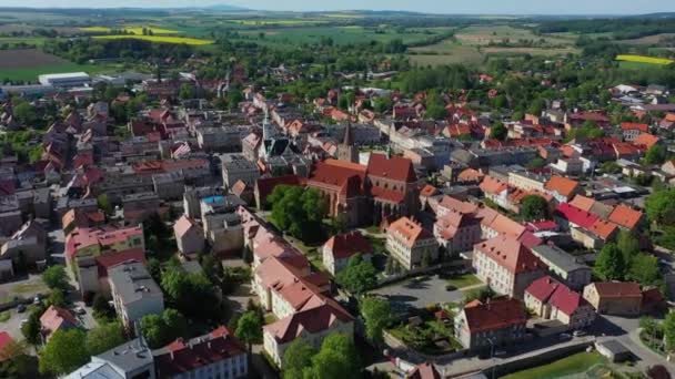 Panorama Eagle Socha Ziebice Aerial View Polsko Vysoce Kvalitní Záběry — Stock video