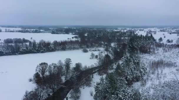 Belle Hiver Rivière Panorama Skorkowice Vue Aérienne Pologne Images Haute — Video