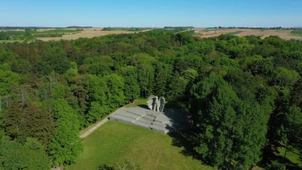 Panorama Adelaar Standbeeld Ziebice Luchtfoto Polen Hoge Kwaliteit Beeldmateriaal — Stockvideo