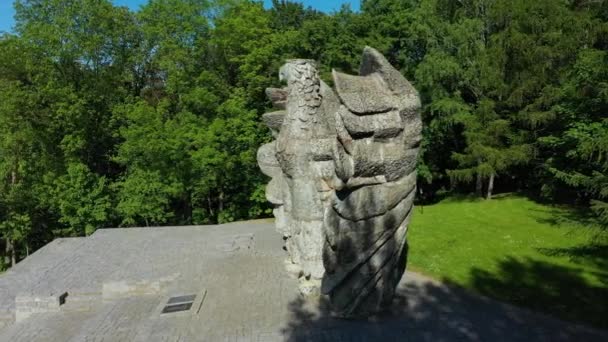 Όμορφο Άγαλμα Αετού Ziebice Aerial View Πολωνία Υψηλής Ποιότητας Πλάνα — Αρχείο Βίντεο