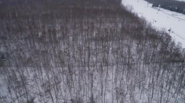 Güzel Orman Dağı Tepesi Gora Kamiensk Hava Manzarası Polonya. Yüksek kalite 4k görüntü