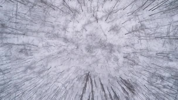 Воздушный Вид Польшу Горы Гора Каменск Высококачественные Кадры — стоковое видео
