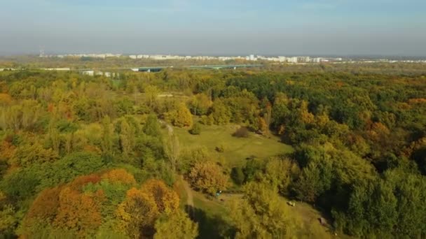 Linda Floresta Bielany Varsóvia Vista Aérea Polônia Imagens Alta Qualidade — Vídeo de Stock