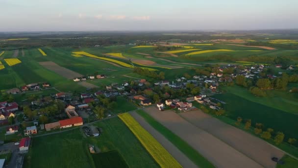 Красивый Пейзаж Зимна Водка Воздушный Вид Польши Высококачественные Кадры — стоковое видео