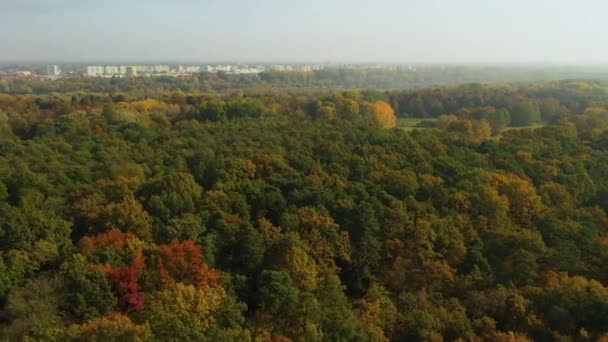 Vackra Forest Park Mlociny Warszawa Flygfoto Polen Högkvalitativ Film — Stockvideo