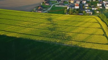 Güzel arazi manzarası Zimna Wotka Havadan Polonya. Yüksek kalite 4k görüntü