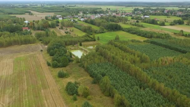 Belle Forêt Panorama Skorkowice Vue Aérienne Pologne Images Haute Qualité — Video
