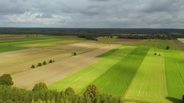 Güzel Panorama Skorkowice Hava Görüntüsü Polonya. Yüksek kalite 4k görüntü