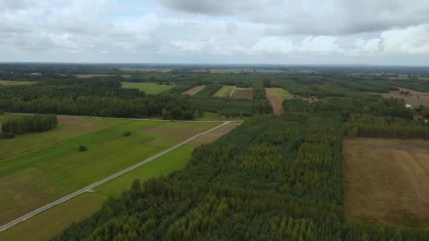 Gyönyörű Panoráma Erdő Skorkowice Aerial View Lengyelország Kiváló Minőségű Felvételek — Stock videók