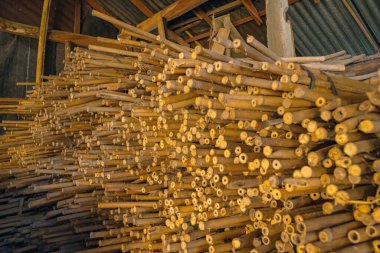 A very large pile of small bamboo, which will later be made into various crafts such as children's toys, straws, flutes, and others, the production process is done manually by local craftsmen