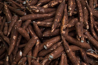 A pile of fresh cassava that is still mixed with soil because it has just been harvested from the field, it is brown and large in size and ready to be processed into food