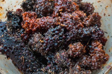 Detail of the stingless trigona bee hive that has been harvested to produce one of the best honey and pollen in a propolis bag