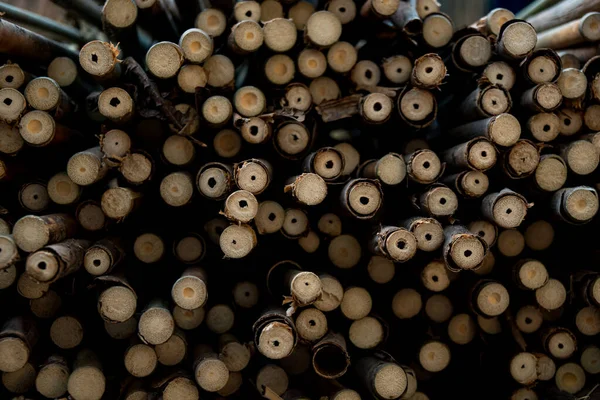 A very large pile of small bamboo, which will later be made into various crafts such as children\'s toys, straws, flutes, and others, the production process is done manually by local craftsmen