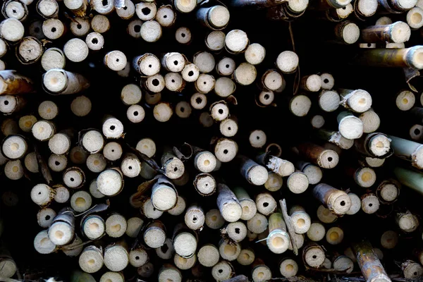 A very large pile of small bamboo, which will later be made into various crafts such as children\'s toys, straws, flutes, and others, the production process is done manually by local craftsmen