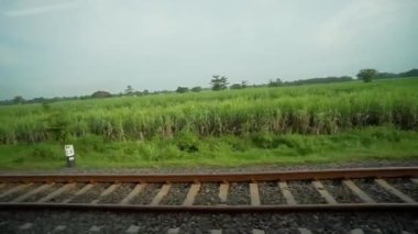 Pencere kenarında oturan trene bin. Pencerenin dışındaki raylara ve pirinç tarlalarına bak. Tren varış noktasına doğru hızla ilerliyor.