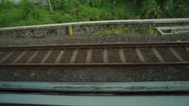 Montar Tren Sentado Junto Ventana Mirando Vista Las Vías Campos — Vídeos de Stock