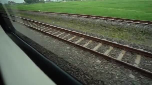 Montar Tren Sentado Junto Ventana Mirando Vista Las Vías Campos — Vídeos de Stock