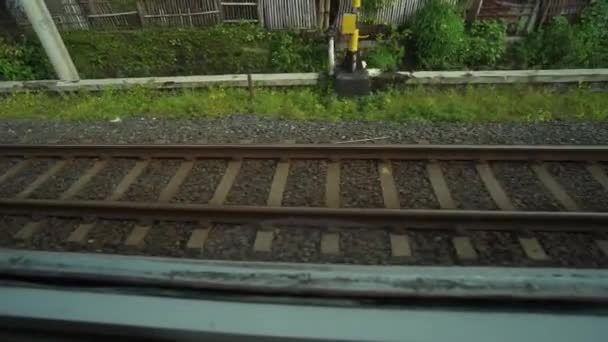 Їздити Поїздом Сидячи Біля Вікна Дивлячись Вигляд Доріжок Рисових Полів — стокове відео