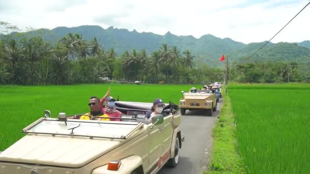 Travel Experience Driving Safari Car Open Villages Rice Fields Still — Stock Video