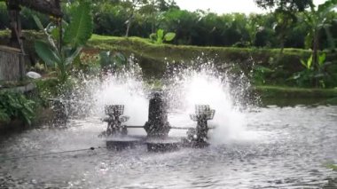 Kırmızı tilapia balık çiftliği havuzunda su çarkı. Su çarkı sistemi yapay havuzlarda su ve oksijen dolaşımı için, böylece balıklar daha sağlıklı ve su temiz kalır.