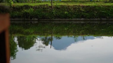 Yogyakarta, Endonezya 'da aktif bir volkan olan Merapi Dağı Merapi Dağı' nın güzelliğini yansıtan açık tilapia göletleriyle uzak bir mesafeden görülür.