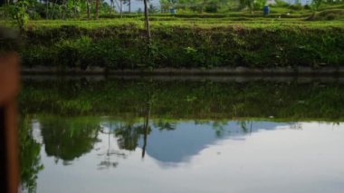 Mount Merapi, an active volcano in Yogyakarta, Indonesia is seen from a distance with clear tilapia ponds reflecting the beauty of Mount Merapi