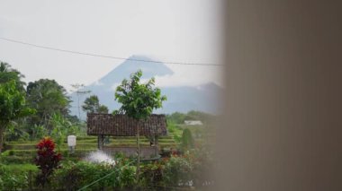 Mount Merapi, an active volcano in Yogyakarta, Indonesia is seen from a distance with clear tilapia ponds reflecting the beauty of Mount Merapi