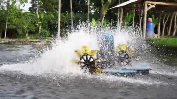 Waterwheel Red Tilapia Fish Farming Pond Waterwheel System Circulate Water — Vídeos de Stock