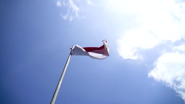 Red White Flag Indonesia National Flag Flying Pole Independence Day — 비디오