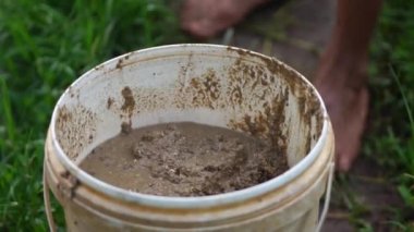 Cultivation of Tubifex worms for ornamental fish feed in fields in rural areas, is fed and harvested every morning before sunrise by breeders. The diet is chicken or goose droppings and tubifex worms harvested by filtering