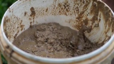 Cultivation of Tubifex worms for ornamental fish feed in fields in rural areas, is fed and harvested every morning before sunrise by breeders. The diet is chicken or goose droppings and tubifex worms harvested by filtering