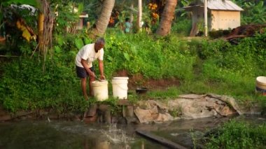 Cultivation of Tubifex worms for ornamental fish feed in fields in rural areas, is fed and harvested every morning before sunrise by breeders. The diet is chicken or goose droppings and tubifex worms harvested by filtering