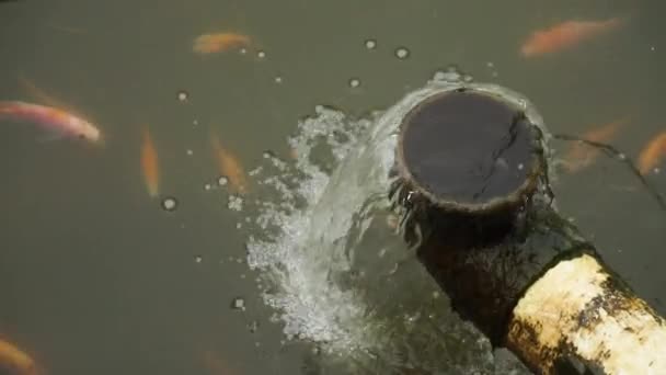 Bewässerungssystem Von Flüssen Teichen Und Reisfeldern Zur Bewässerung Von Fischerei — Stockvideo