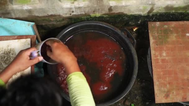 Kırsal Bölgelerdeki Tarlalarda Beslenen Süs Balıkları Için Tubifex Solucanlarının Yetiştirilmesi — Stok video