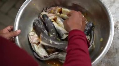 Asian woman's hands are in the process of frying a catfish that has been seasoned and put in a pan of hot oil, frying the catfish to become dry and crunchy in boiling oil
