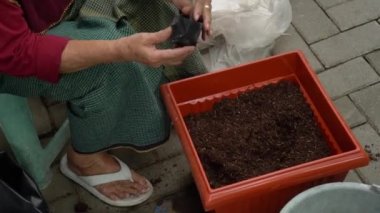 Planting, tending and harvesting activities in vegetable gardens around densely populated urban areas. urban farming, the process of gardening in narrow urban areas which is increasingly popular among urban communities