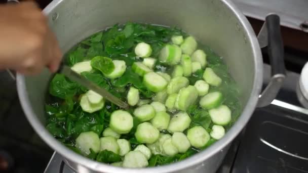 Proceso Cocción Sopa Que Contiene Verduras Orgánicas Como Espinacas Zanahorias — Vídeo de stock