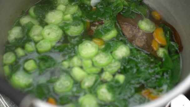 从自家菜园中挑选的含有菠菜和胡萝卜等有机蔬菜的烹调汤的过程 非常新鲜健康 — 图库视频影像